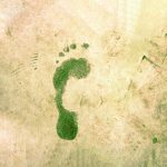 Eurotux's strategy to reduce the energy footprint of organisations